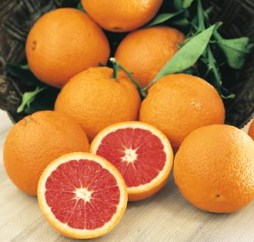 Cara-Cara-Orange-Semi-dwarf